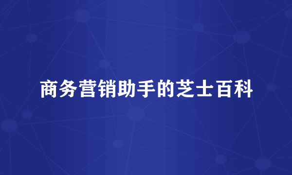 商务营销助手的芝士百科