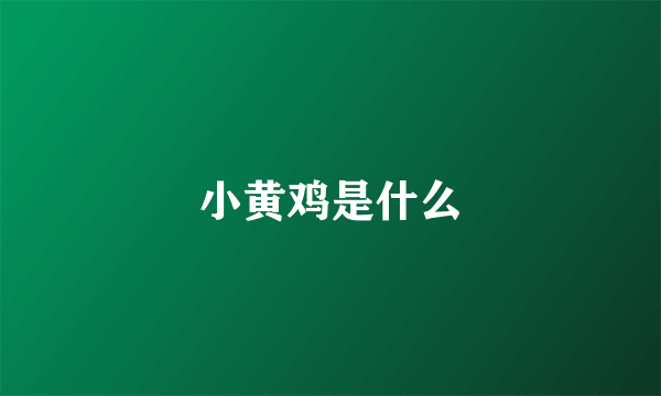 小黄鸡是什么