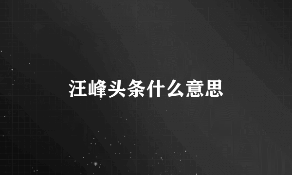 汪峰头条什么意思