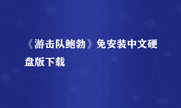 《游击队鲍勃》免安装中文硬盘版下载