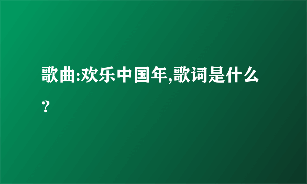歌曲:欢乐中国年,歌词是什么？