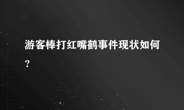 游客棒打红嘴鹤事件现状如何？