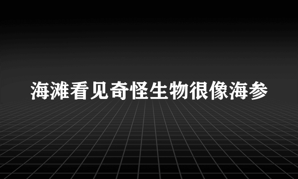 海滩看见奇怪生物很像海参