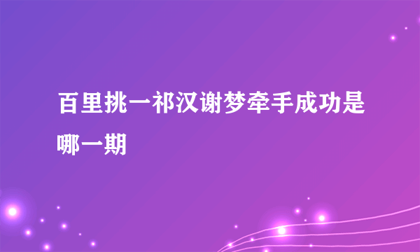 百里挑一祁汉谢梦牵手成功是哪一期