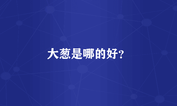 大葱是哪的好？