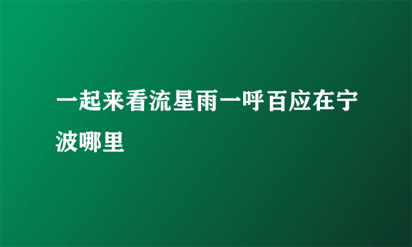 一起来看流星雨一呼百应在宁波哪里