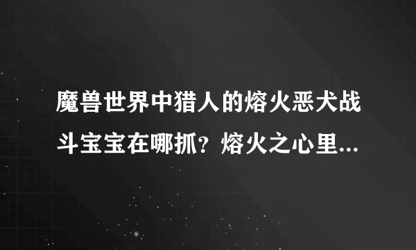 魔兽世界中猎人的熔火恶犬战斗宝宝在哪抓？熔火之心里的不能抓啊
