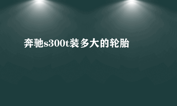 奔驰s300t装多大的轮胎