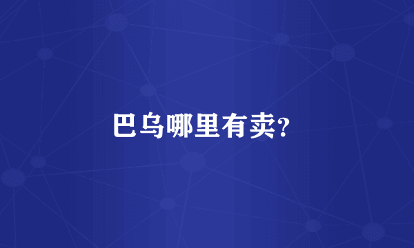 巴乌哪里有卖？