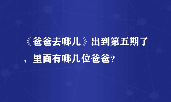 《爸爸去哪儿》出到第五期了，里面有哪几位爸爸？