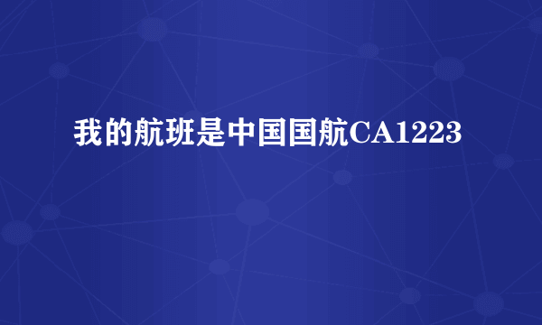 我的航班是中国国航CA1223
