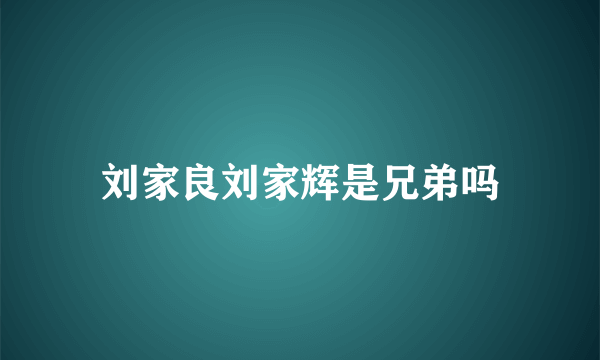 刘家良刘家辉是兄弟吗