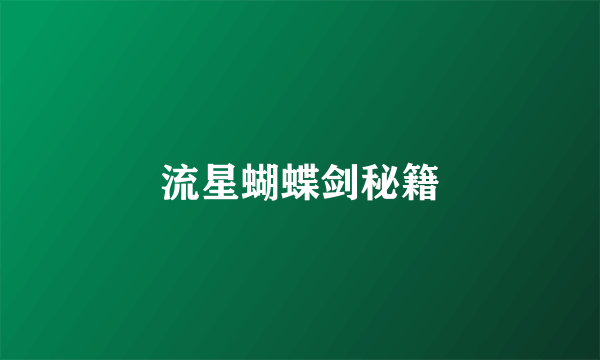流星蝴蝶剑秘籍