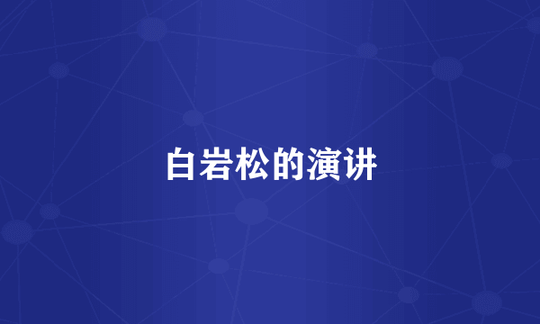 白岩松的演讲