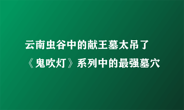 云南虫谷中的献王墓太吊了 《鬼吹灯》系列中的最强墓穴