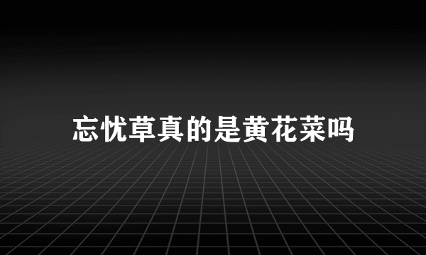 忘忧草真的是黄花菜吗