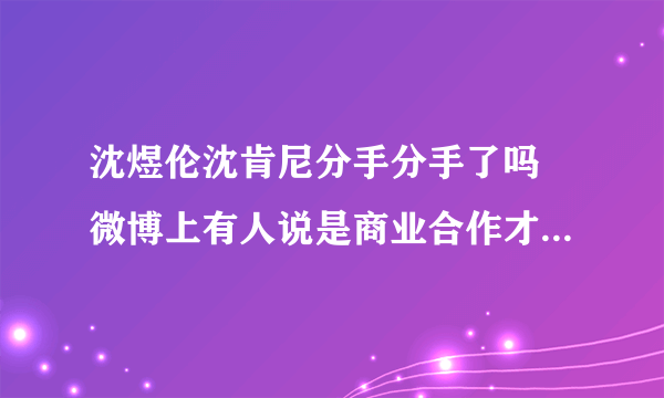 沈煜伦沈肯尼分手分手了吗 微博上有人说是商业合作才暂时在一起的