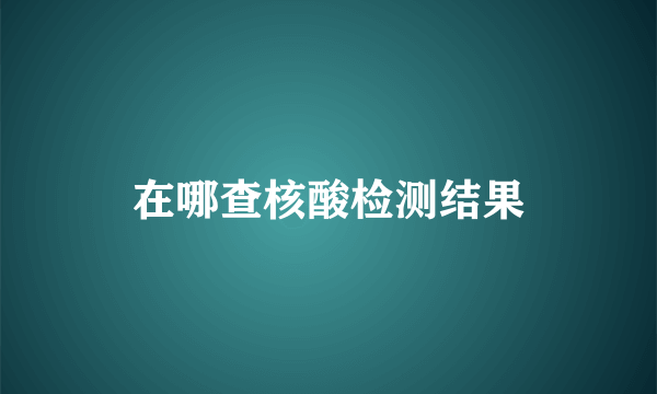 在哪查核酸检测结果