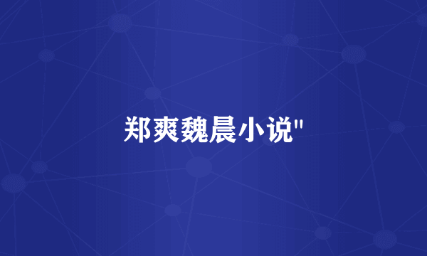 郑爽魏晨小说