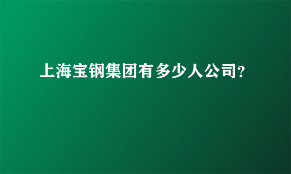 上海宝钢集团有多少人公司？