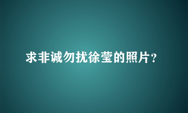 求非诚勿扰徐莹的照片？