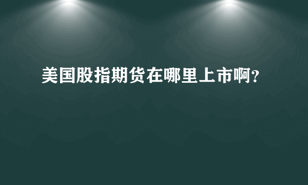 美国股指期货在哪里上市啊？