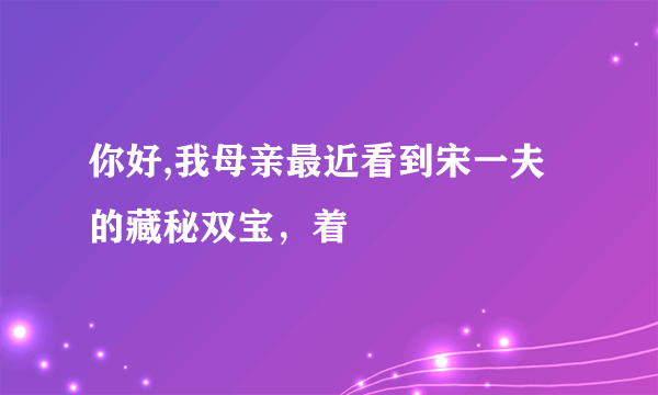 你好,我母亲最近看到宋一夫的藏秘双宝，着