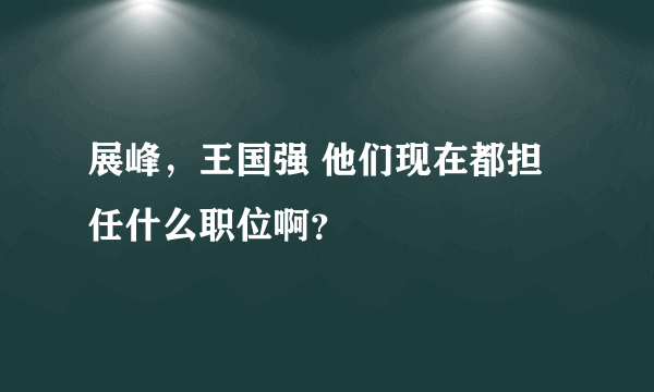 展峰，王国强 他们现在都担任什么职位啊？
