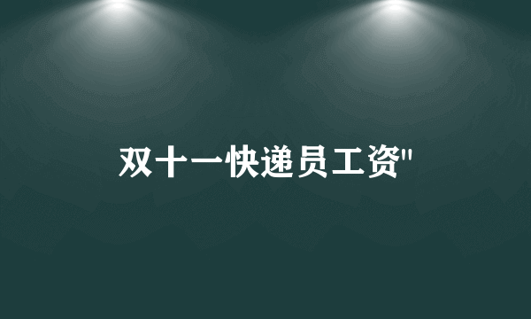 双十一快递员工资