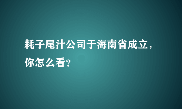 耗子尾汁公司于海南省成立，你怎么看？
