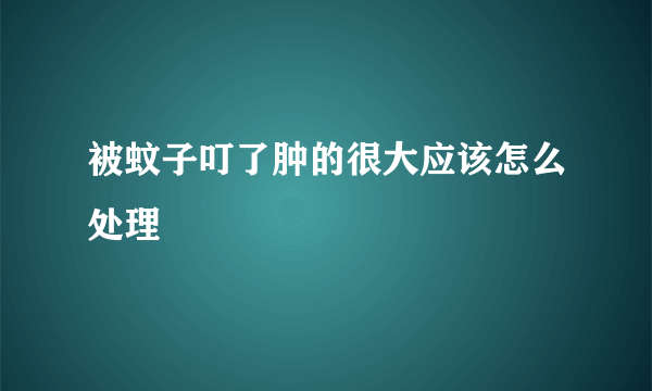 被蚊子叮了肿的很大应该怎么处理