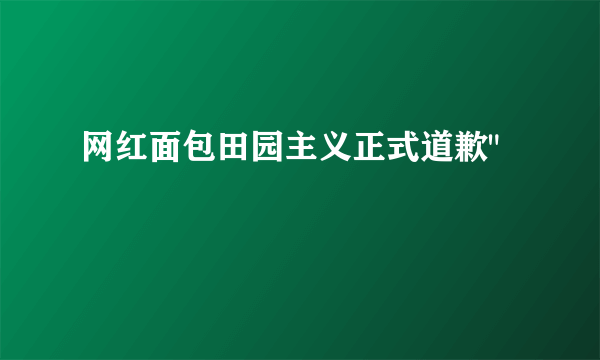 网红面包田园主义正式道歉