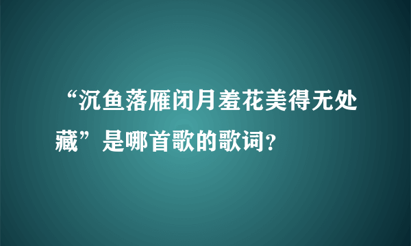 “沉鱼落雁闭月羞花美得无处藏”是哪首歌的歌词？