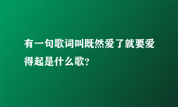 有一句歌词叫既然爱了就要爱得起是什么歌？