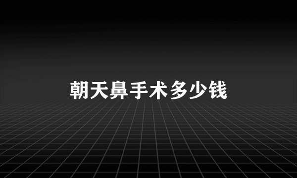 朝天鼻手术多少钱