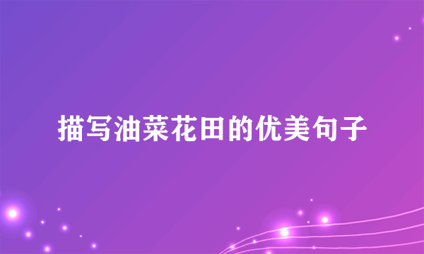 描写油菜花田的优美句子