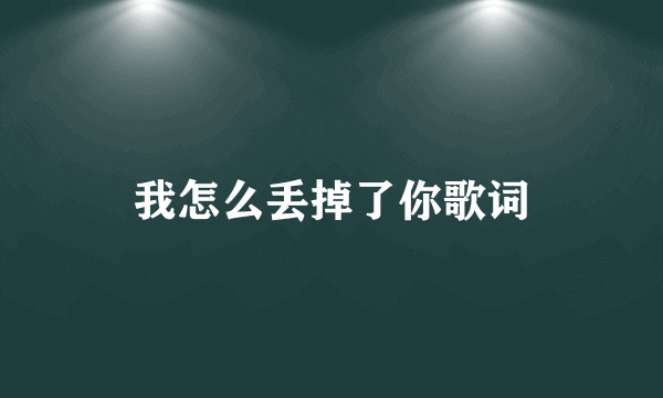 我怎么丢掉了你歌词