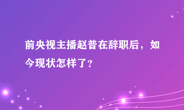 前央视主播赵普在辞职后，如今现状怎样了？
