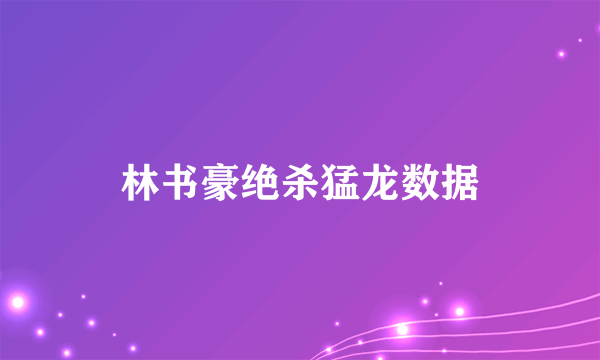 林书豪绝杀猛龙数据