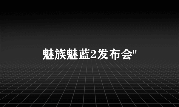 魅族魅蓝2发布会