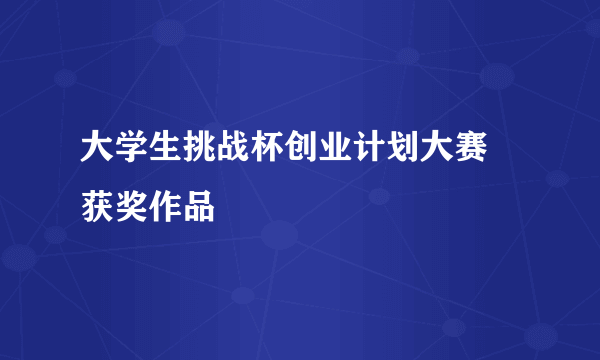 大学生挑战杯创业计划大赛 获奖作品