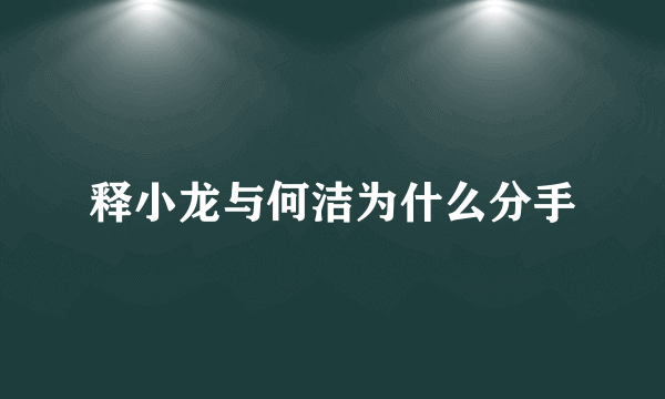 释小龙与何洁为什么分手