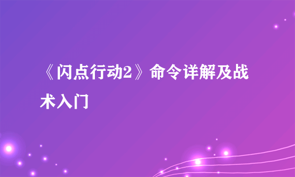 《闪点行动2》命令详解及战术入门