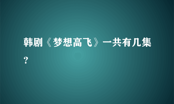 韩剧《梦想高飞》一共有几集？
