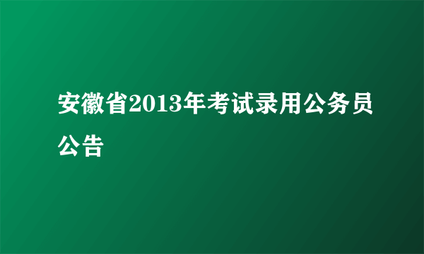 安徽省2013年考试录用公务员公告