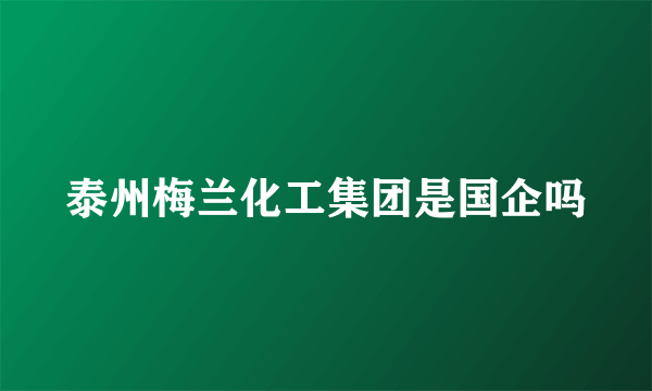 泰州梅兰化工集团是国企吗