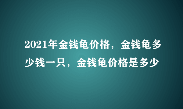 2021年金钱龟价格，金钱龟多少钱一只，金钱龟价格是多少
