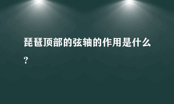 琵琶顶部的弦轴的作用是什么？