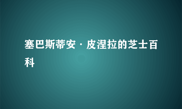 塞巴斯蒂安·皮涅拉的芝士百科