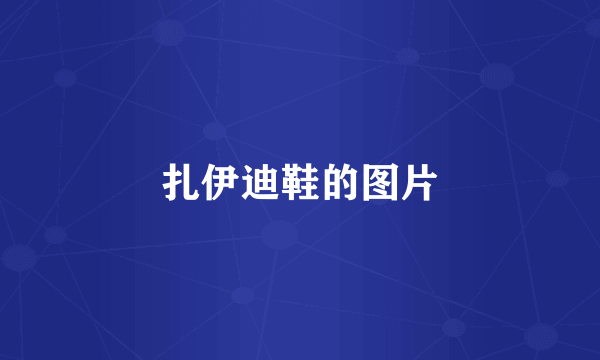 扎伊迪鞋的图片